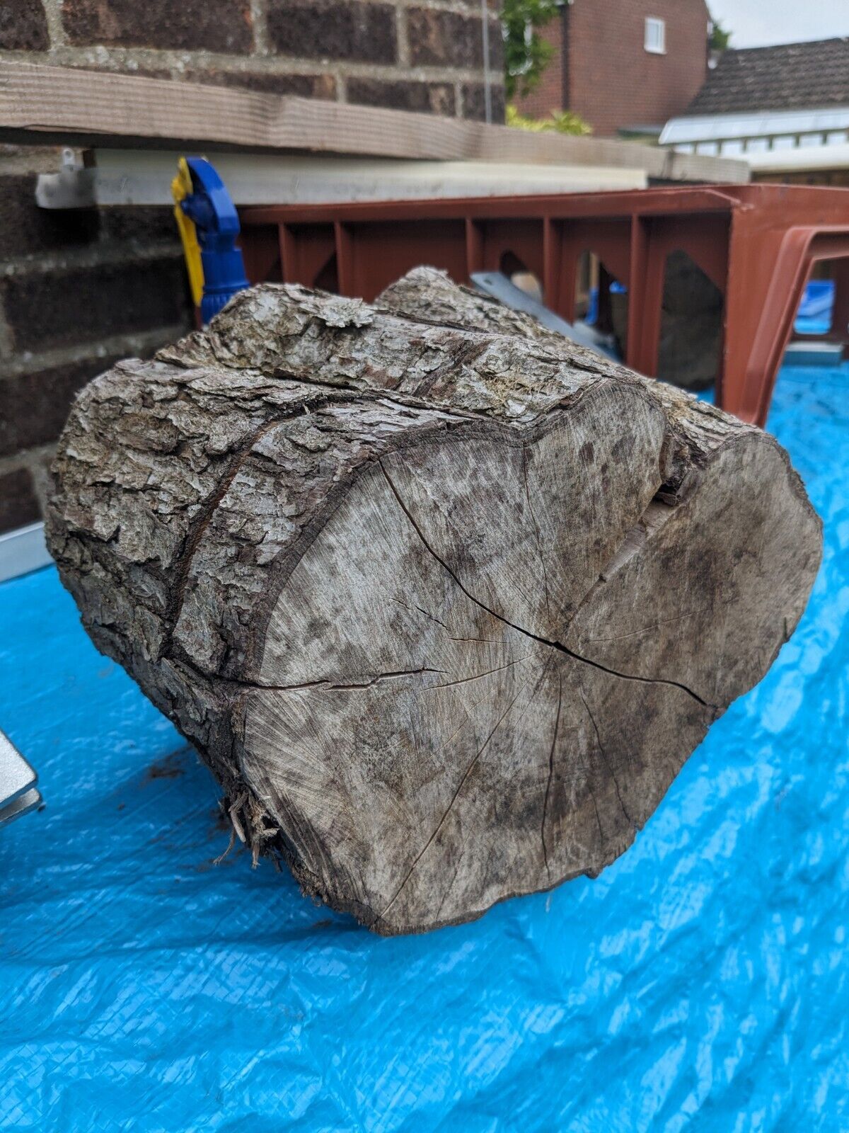 Apple wood timber Chunks X4