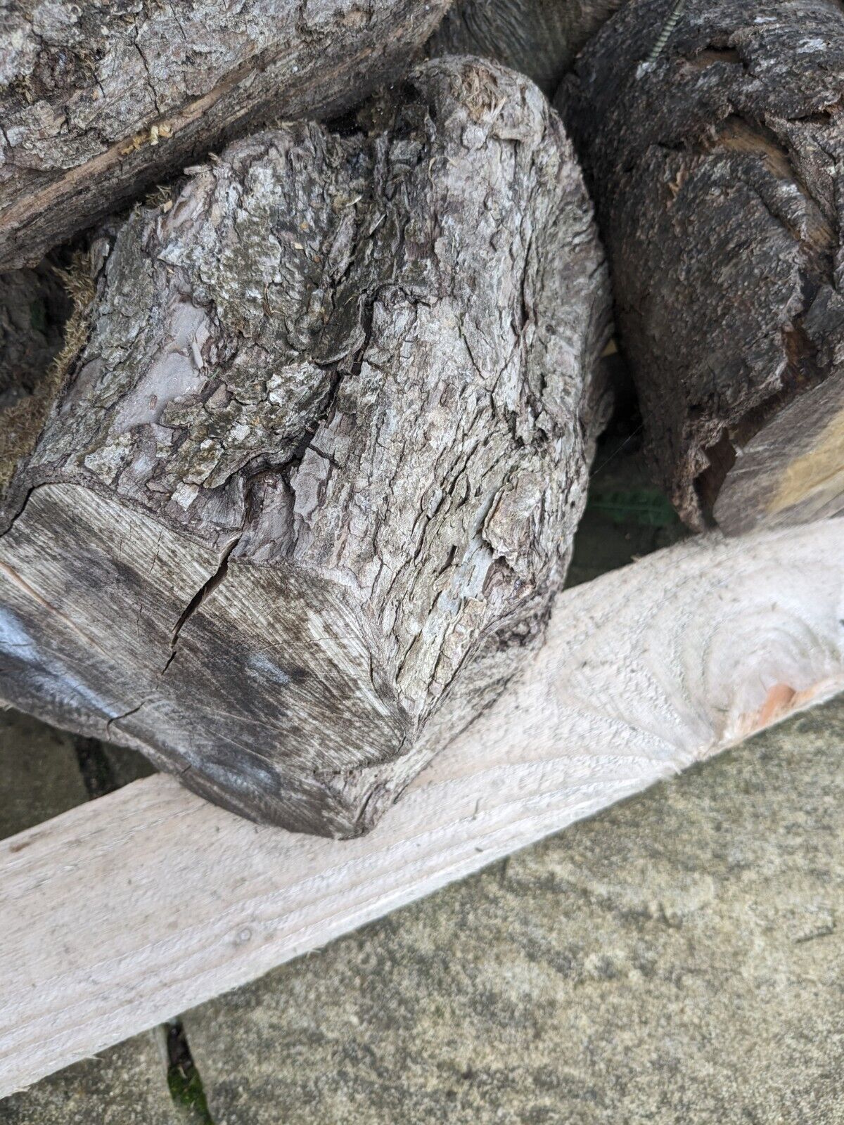 Apple wood timber Chunks X4