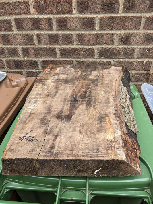 Beech Slab 39 X 58 X 7cm