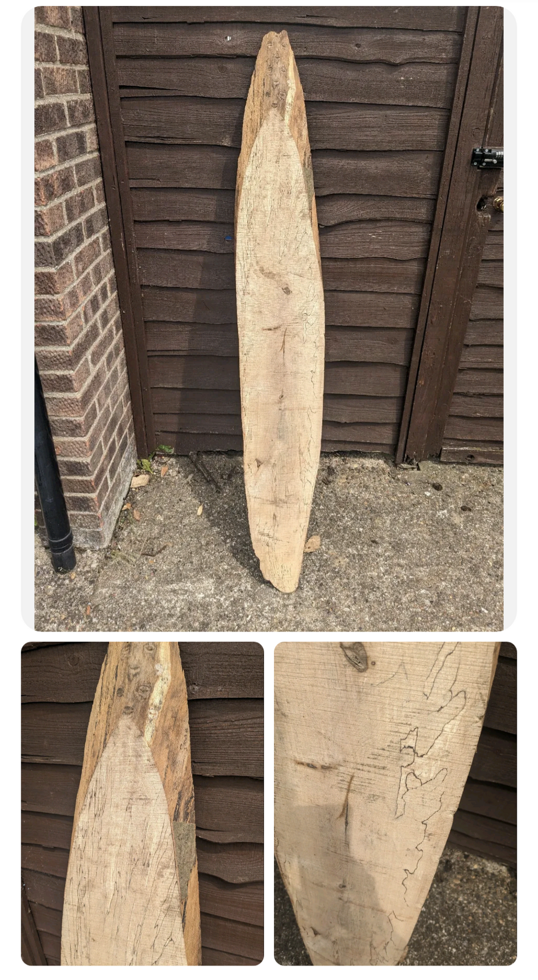 Oval Live Edge Board Ash, Spalted, Kiln Dried. 168 Cm.


Beautiful spalted ash kiln dried oval board
